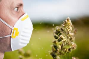 Allergies in Austin, TX | Sinus & Snoring Specialists 