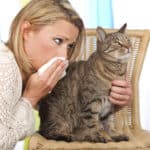 Pet Allergies: Tips To Help With Your Allergy | Austin TX