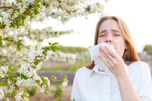 Allergy Season